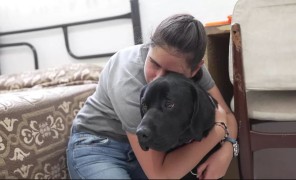 მეხიკოში მეგზური ძაღლი მხედველობადაქვეითებულ ადამიანებს სამყაროს აღქმას ასწავლის