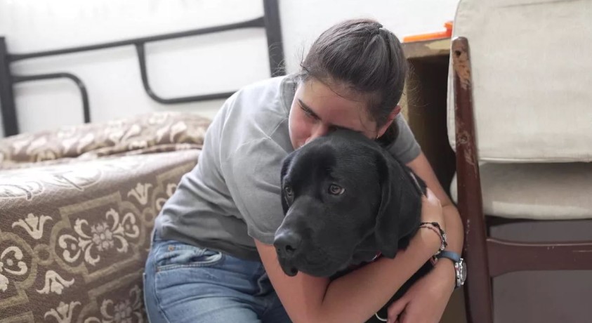 მეხიკოში მეგზური ძაღლი მხედველობადაქვეითებულ ადამიანებს სამყაროს აღქმას ასწავლის