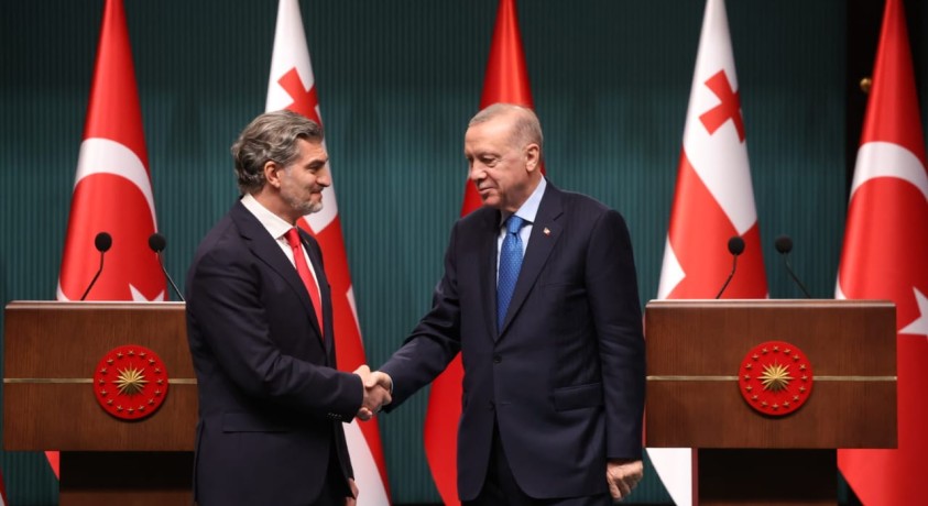 მიხეილ ყაველაშვილი რეჯეფ თაიფ ერდოღანს შეხვდა