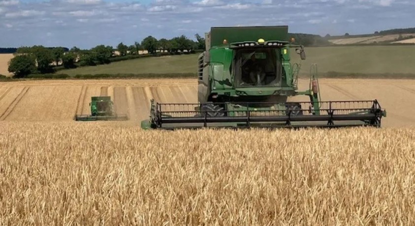 დიდ ბრიტანეთში გვალვის გამო ფერმერებს მოსავალი უფუჭდებათ