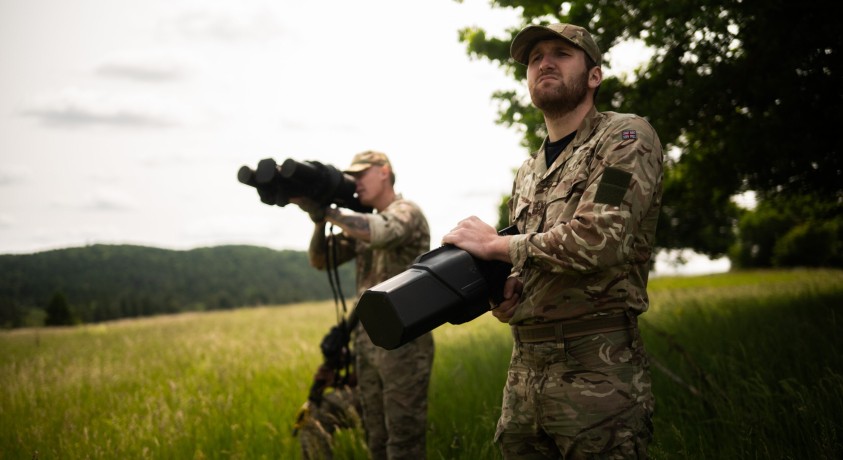ნატოს სამხედრო მანევრები