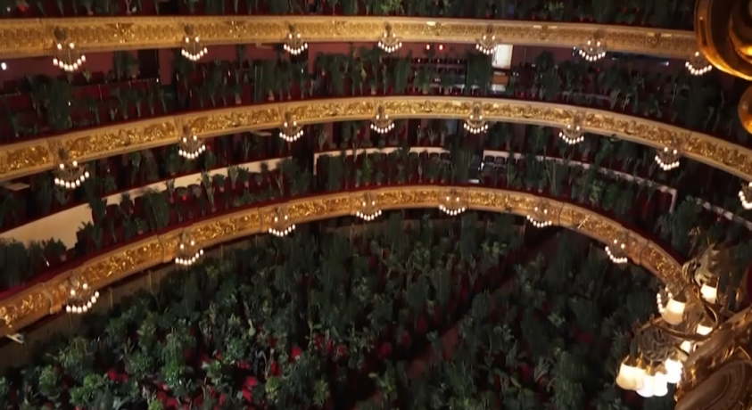 ორიგინალური კულტურული ღონისძიებები პანდემიის პირობებში