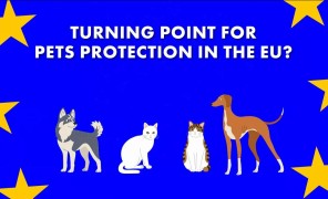 რამდენად აღკვეთს ახალი კანონი შინაური ცხოველებით უკანონო ვაჭრობას?