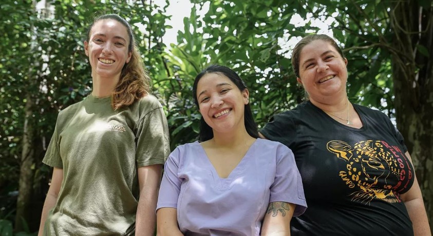 კოსტა რიკაში ველური ბუნების ნაკრძალი ცხოველების გადარჩენას ემსახურება