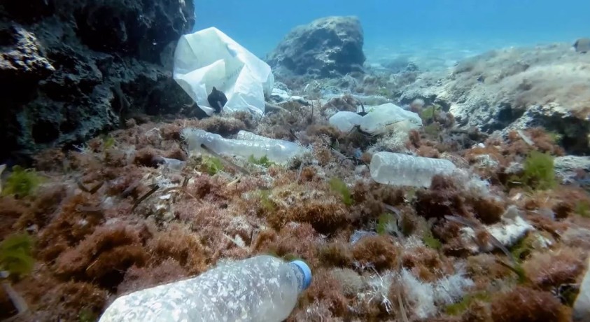 ბრძოლა მიკროპლასტმასას წინააღმდეგ – ფრანგმა მეცნიერებმა განგაშის ზარს შემოჰკრეს პლასტმასით დაბინძურების პრობლემის გამო