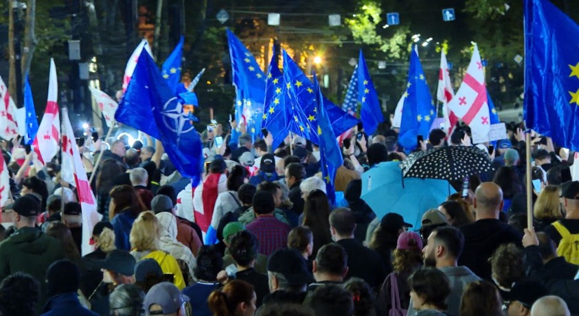 „დაიცავი უვიზო” – აქცია-მსვლელობა თბილისში