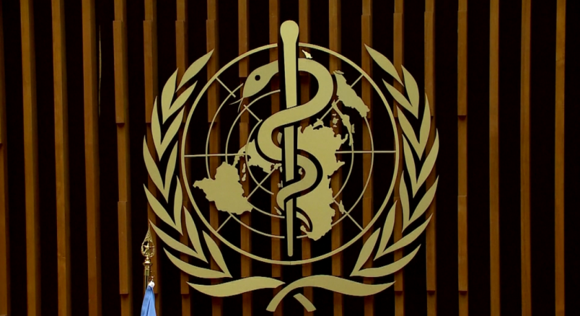 “3-იდან 1 ქალი ძალადობის მსხვერპლი ერთხელ მაინც ყოფილა” – ჯანმო