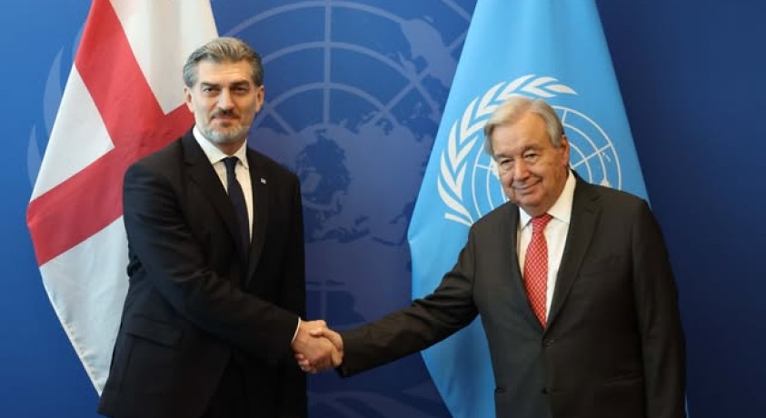 მიხეილ ყაველაშვილი ანტონიუ გუტერეშს შეხვდა