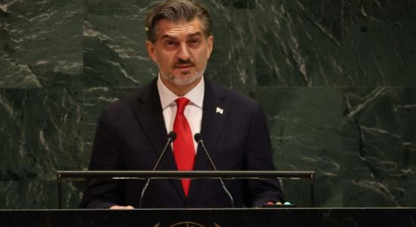 აშშ-ში ვიზიტის შეჯამება და პოლიტიკური შეფასებები