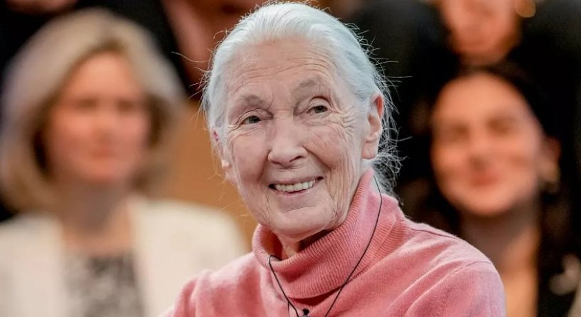 ჯეინ გუდოლი