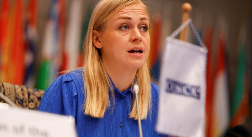 ელინა ვალტონენი საქართველოში 5000 ლარით დაჯარიმდა – პოლიტიკური შეფასებები