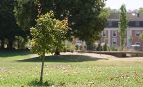 ევროპის მწვანე ქალაქები