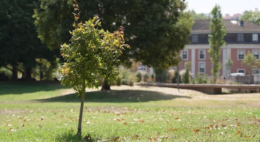 ევროპის მწვანე ქალაქები