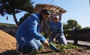 კატარი და ჩილე კულტურულ მემკვიდრეობას ერთად იცავენ