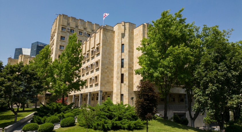 დააკავეს ხელბურთის ეროვნული ფედერაციის ყოფილი პრეზიდენტი