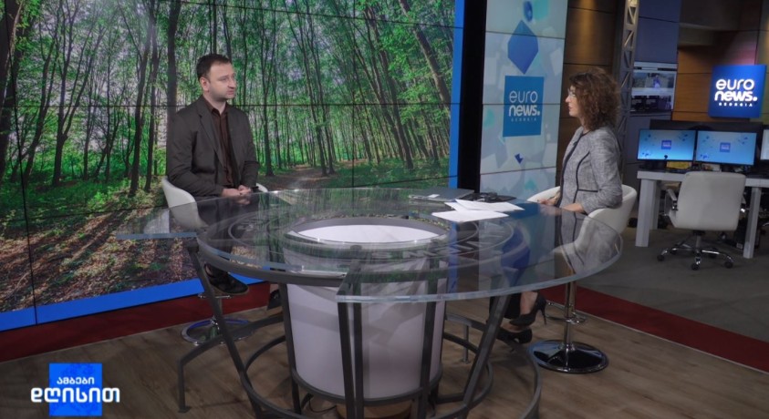 ტყის მოვლა