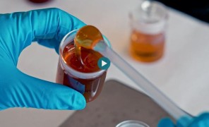 ექსპერტები ყალბი თაფლის წინააღმდეგ