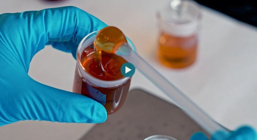 ექსპერტები ყალბი თაფლის წინააღმდეგ