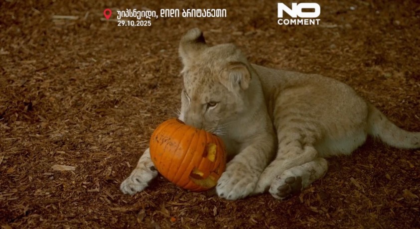 უიპსნეიდი, დიდი ბრიტანეთი