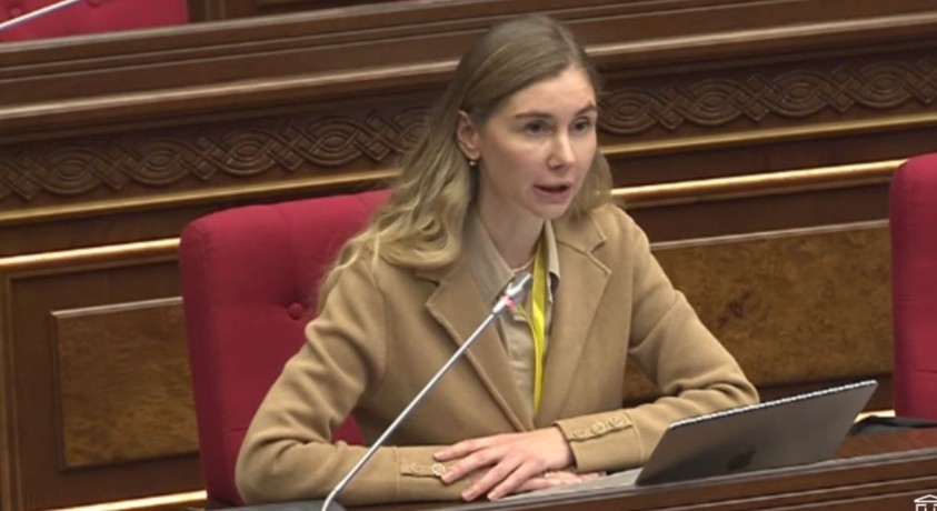 „„ქართულ ოცნებას” სიმართლის მოსმენის ეშინია” – თინა ბოკუჩავა