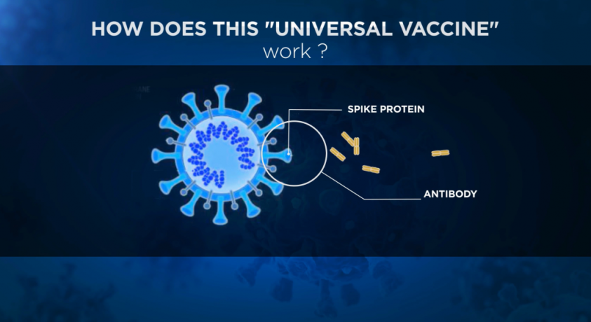 რბოლა უნივერსალური ვაქცინის შესაქმნელად