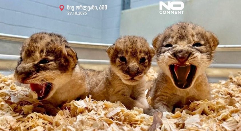 ნიუ-ორლეანი, აშშ