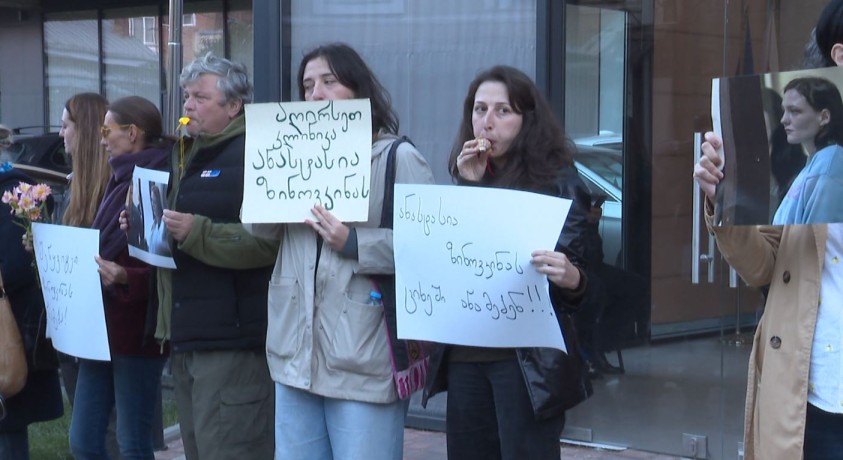„გადაიყვანეთ კლინიკაში ანასტასია ზინოვკინა“ – მსჯავრდადებულის მხარდამჭერი აქცია ომბუდსმენის ოფისთან