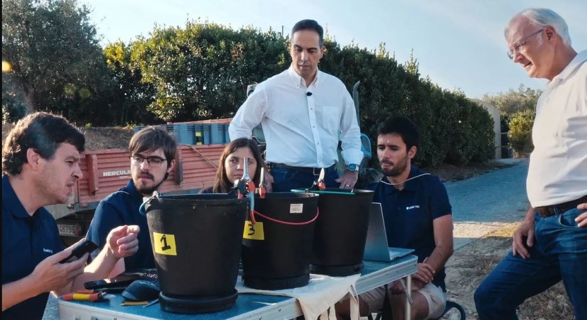 რომელი ყურძნის ღვინო ასხია ბოთლში? – ღვინის ექსპერტები დუეროს ველის ღვინის ავთენტურობას ადგენენ