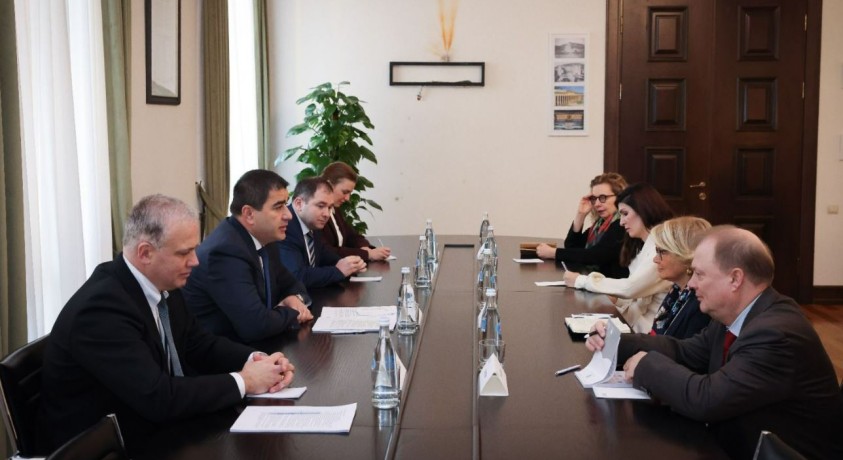 ევროპის საბჭოს დელეგაციამ პარლამენტში შეხვედრები გამართა