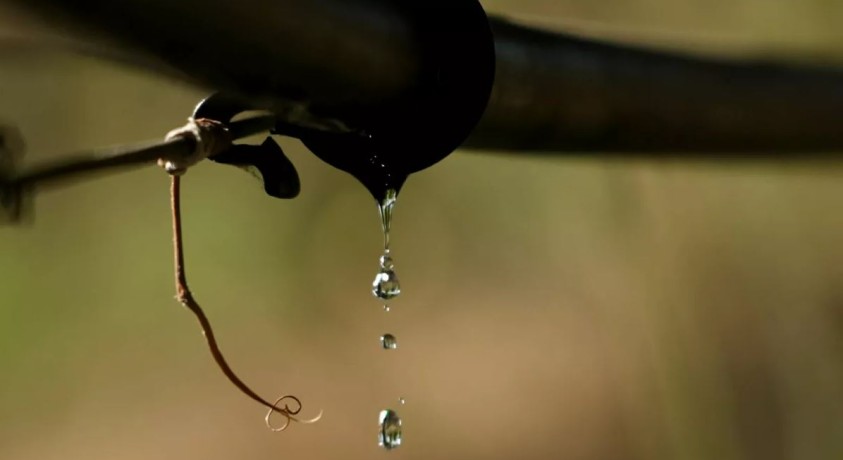 შეძლებენ თუ არა ევროპელი ფერმერები წყლის ციკლის შენარჩუნებას?