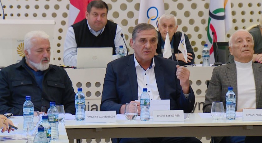 საქართველოს ეროვნული ოლიმპიური კომიტეტის სხდომა