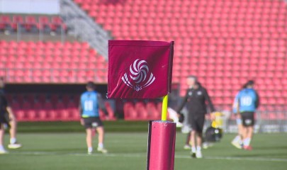 ქართველი ბორჯღალოსნები 22 ნოემბერს იაპონიას უმასპინძლებენ