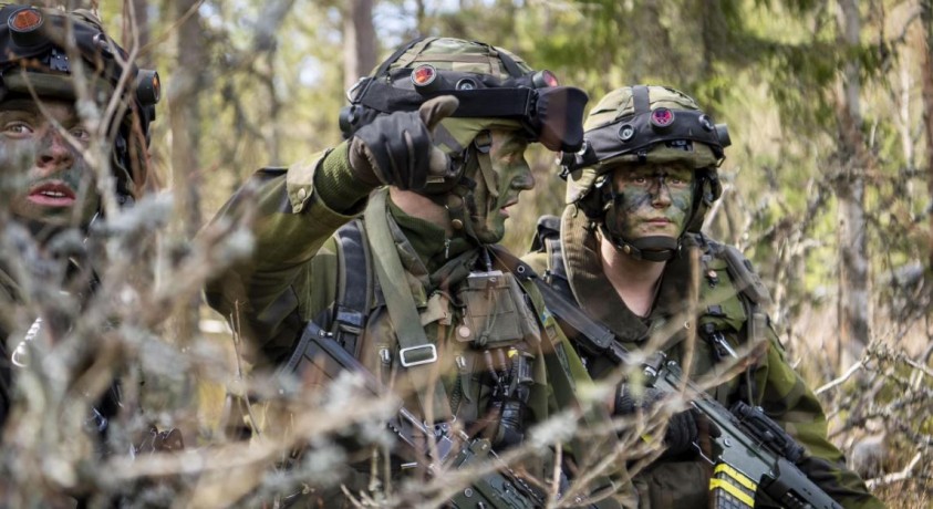 შვედეთისა და საფრანგეთის სამხედრო თანამშრომლობა