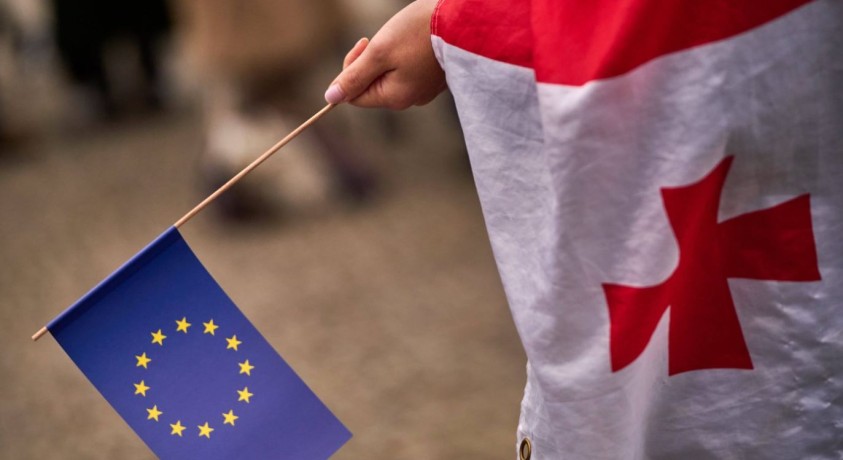 „საქართველოს ხელისუფლება არ ითვალისწინებს, რა სურს ხალხს”- მარტა კოსი