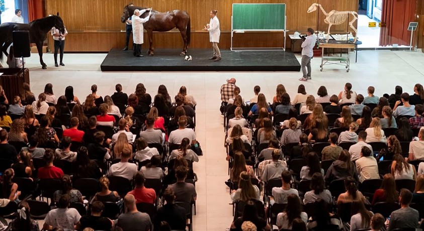 დიდი ბრიტანეთი Erasmus-ის გაცვლით პროგრამას უბრუნდება