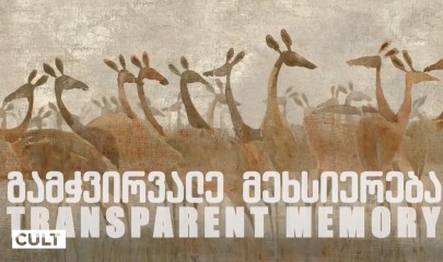 მერაბ აბრამიშვილის ,,გამჭვირვალე მეხსიერება”
