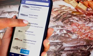 ახალი აპლიკაცია ზღვის პროდუქტების შეძენას გაამარტივებს