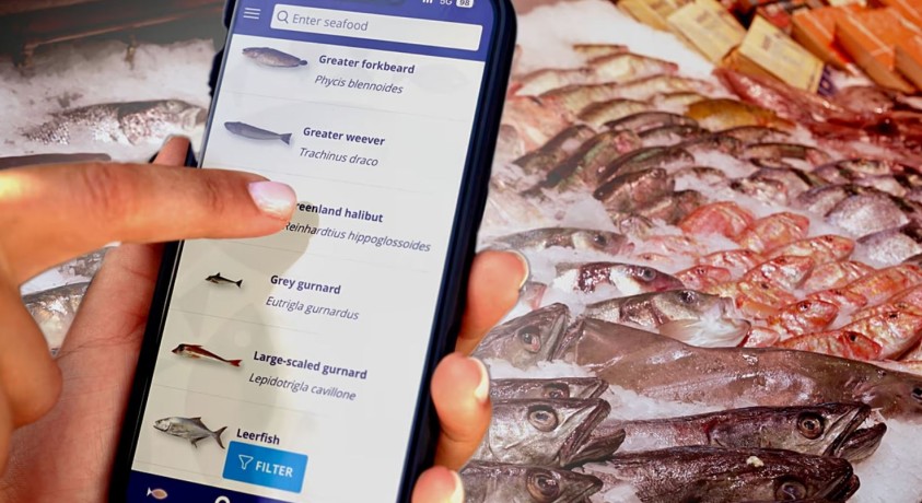 ახალი აპლიკაცია ზღვის პროდუქტების შეძენას გაამარტივებს