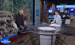 წიწვოვანი მცენარეების მოპოვებაზე კონტროლი მკაცრდება