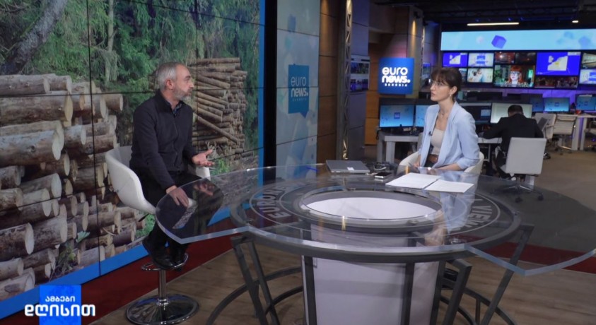 წიწვოვანი მცენარეების მოპოვებაზე კონტროლი მკაცრდება