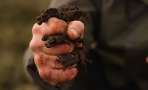 ირლანდიის ტორფნარები მწვანე ეკონომიკის გზაზე დგანან