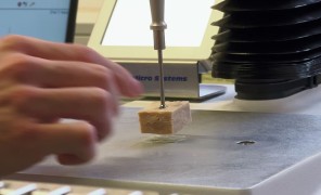 ლაბორატორიაში მიღებული ცილა მსოფლიოში შიმშილის პრობლემის გადაჭრას ემსახურება