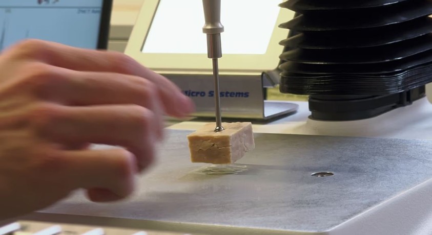 ლაბორატორიაში მიღებული ცილა მსოფლიოში შიმშილის პრობლემის გადაჭრას ემსახურება