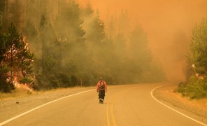 არგენტინაში მასშტაბური ხანძარი მძვინვარებს