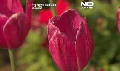 ნიუ-დელი, ინდოეთი