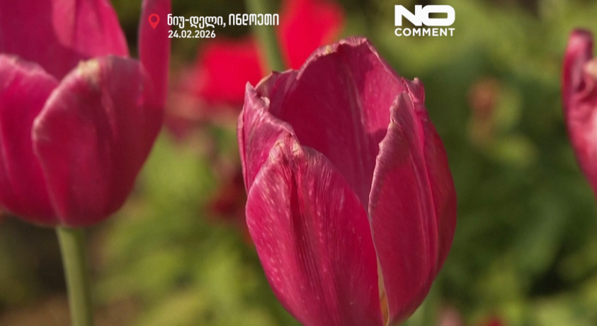 ნიუ-დელი, ინდოეთი