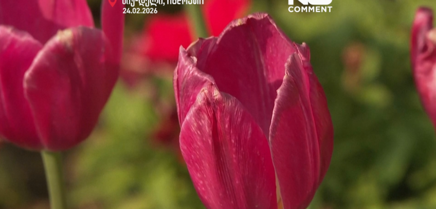 ნიუ-დელი, ინდოეთი