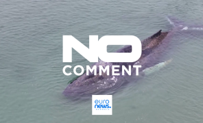 ტიმენდორფერ - სტრანდი, გერმანია