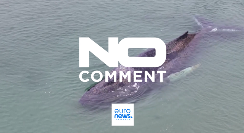 ტიმენდორფერ - სტრანდი, გერმანია