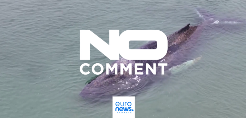 ტიმენდორფერ - სტრანდი, გერმანია